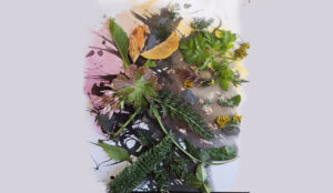 Inicio 4 flores 1
